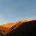 Der Lochgehrengrat im Abendlicht.