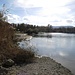 der Rhein führt wenig Wasser