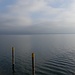 Bodensee unter dem Nebel