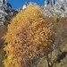 Autunno in Val Brembana