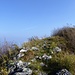 Sentiero panoramico