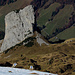 Das "Schmal Stöckli" vom "Fulen" Gipfel aus gesehen.
