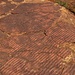 Ripple marks: effetti "pietrificati" del moto ondoso in un mare basso di 400 milioni di anni fa. 