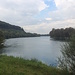 am grünen Rhein