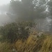 Top of Pena Hueva in the mist