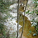 Roisseau de Fozières