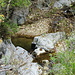 Roisseau de Fozières