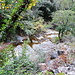 Roisseau de Fozières