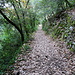 jetzt auf schönem Wanderweg