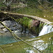 Wasserstufe an der Lergue