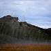 Mückenschwärme am Mývatn