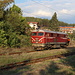 In Dobrinishte / Добринище - Im Bahnhof setzt gerade Lok 75 005-9 um. Kurz zuvor (18.17 Uhr) ist sie mit dem Zug Nr. 16105 aus Septemvri / Септември angekommen.
