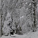 Auf dem Weg zur Cabane Perrenoud. 