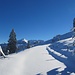 schönstes Winterwandern - angesichts des Ochse ...