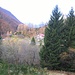 Dalla strada agricola che sale all'Alpe Giumello.