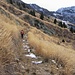 Il largo sentiero che conduce all'Alpe di Poltrinone.