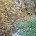 Die Höhle vom Weg aus gesehen. Der Aufstieg führt hinter dem grossen Stein unten im Bild zum Kastanienbaum (rechts Mitte) und von dort über den auffälligen Felsgrat.