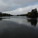 Ein Arm der Donau