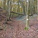 Steiler Aufstieg zum Dachberg