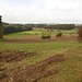 Sehr wahrscheindlich waren hier Wildschweine am Werk
