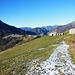 Fuori dal bosco