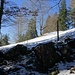 In der Nähe eines Jägersitzes erreiche ich die Wiese unterhalb des Hinter Weissensteins.