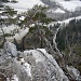 Ausblick vom Pfeiler Bonnes-Fontaines Richtung Klettergebiet Le Schilt