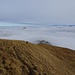 Ein Blick zurück über das Nebelmeer