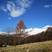 Alta Val Bognanco