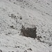 Ein einsammer Felsen im Schnee