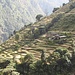 Blick von Jhinu Danda auf einzelne Bauernhöfe mit Reisterrassen