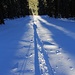 Winter time = long shadows time
