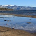 Lake Tahoe doesn't freeze in the winter, only a few puddles on the shore do. The surface water temperature cools to 40 to 50°F (4.5 to 10°C) during February and March and warms to 65 to 70°F (18 to 21°C) during August and September.