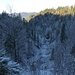 Schön und auch sehr winterlich: Der abfallende Kleine Reitberggraben.