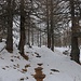 Von der Alp Feerberg ging es ab 1700m nur noch mit Steigeisen weiter. Der Weg war entweder vereist oder der Schnee pickelhart gefroren. Auf jeden Fall war ich froh um den harten Schnee was ein rasches Vorwärtskommen bedeutet.