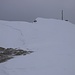 Seehorn (2438,8m): Nicht ganz 100m unterhalb des Gipfels erreichte ich schliesslich den obersten Teil vom Westgrat. In der Ferne zeigte sich nun schon die mächtige Sendeanlage auf dem Gipfel.