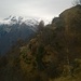 Crinale boscoso verso la Cima Massero 1696 mt.