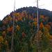 Schöne Herbstliche Farben beim Abstieg