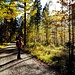 Traumhafte Farben auf dem Weg ins Elmaubachtal