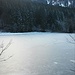 Am zugefrorenen Suttensee