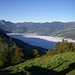 Von der Alp Flue schauen wir auf den Saarner See - bzw den Nebel darüber.