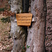 Finally, just before reaching Verachta on the descent(!), I found the wooden sign which indicates the start of the unmarked trail.