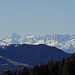 Unglaubliche Fernsicht heute! Das Finsteraarhorn (Distanz 120 km) wirkt zum Greifen nah
