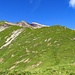 Blick hinauf zum Grat der zur Hinter Grauspitze führt, der Weg geht über den Grasgrat nach links.