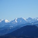 Die ansehnlichen Berchtesgadener im Zoom von der Hofbauernalm