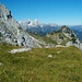 Auf der grünen Wiese des Gamsanger, mit Blick zur Alpspitze.