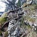 Wassermann-Weg: erste, gut gesicherte Kletterstelle
