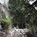 Im Abstieg zwischen Stavrós und Agía Ánna - Hier, in einer Höhe von gut 500 m, geht's an steilen Felswänden vorbei.