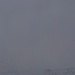 Traurige Schneelage auch auf 1214m - beim Ochsenstall