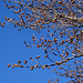 Die Vegetation ist bereit für den Winter